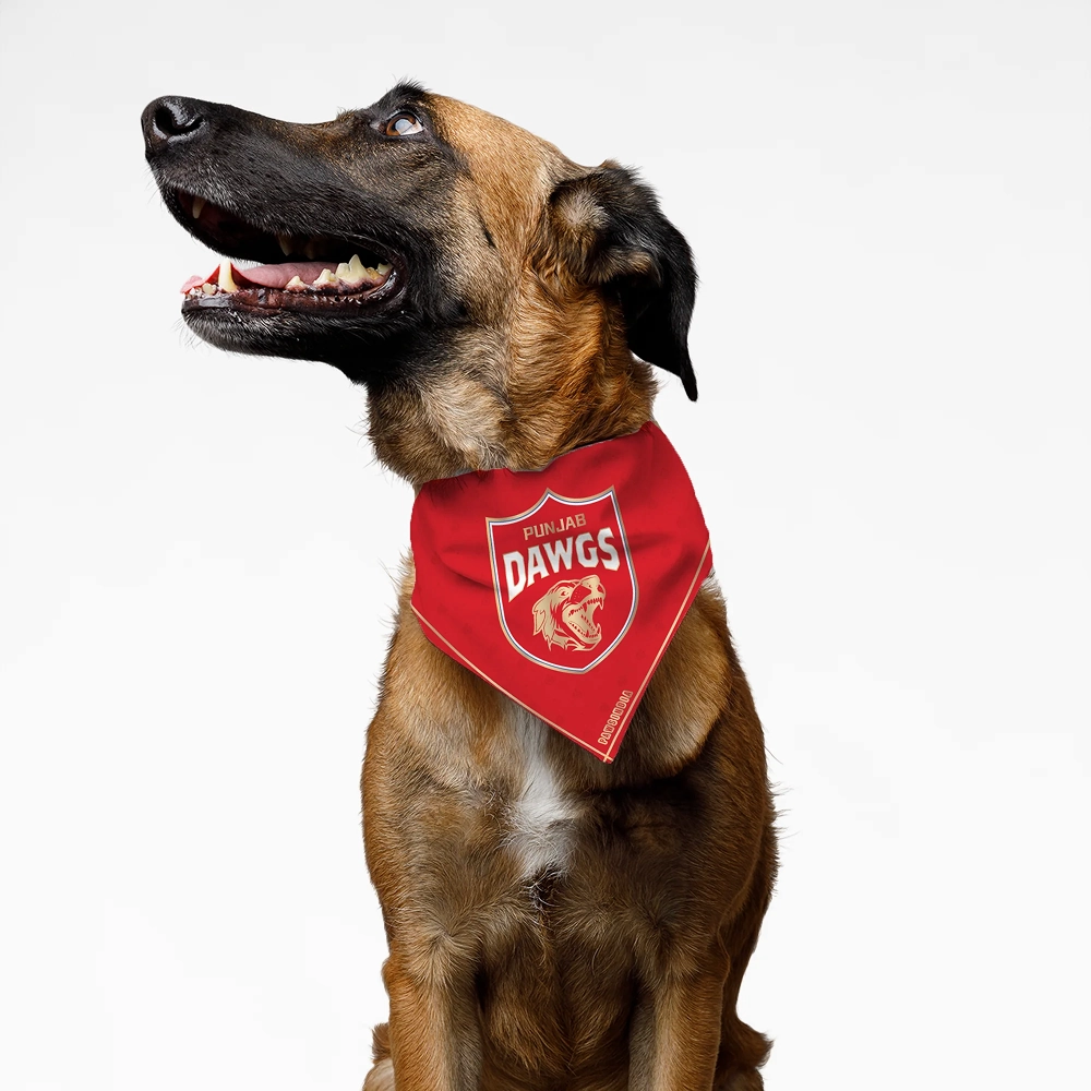 Pawsindia Punjab Dawgs ipl Bandana for Dogs