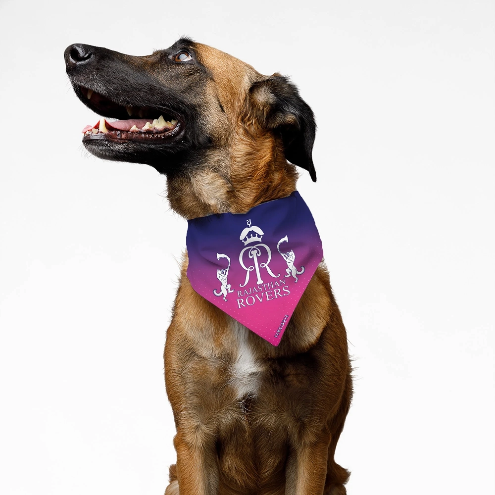 Pawsindia Rajasthan Rovers Bandana for Dogs