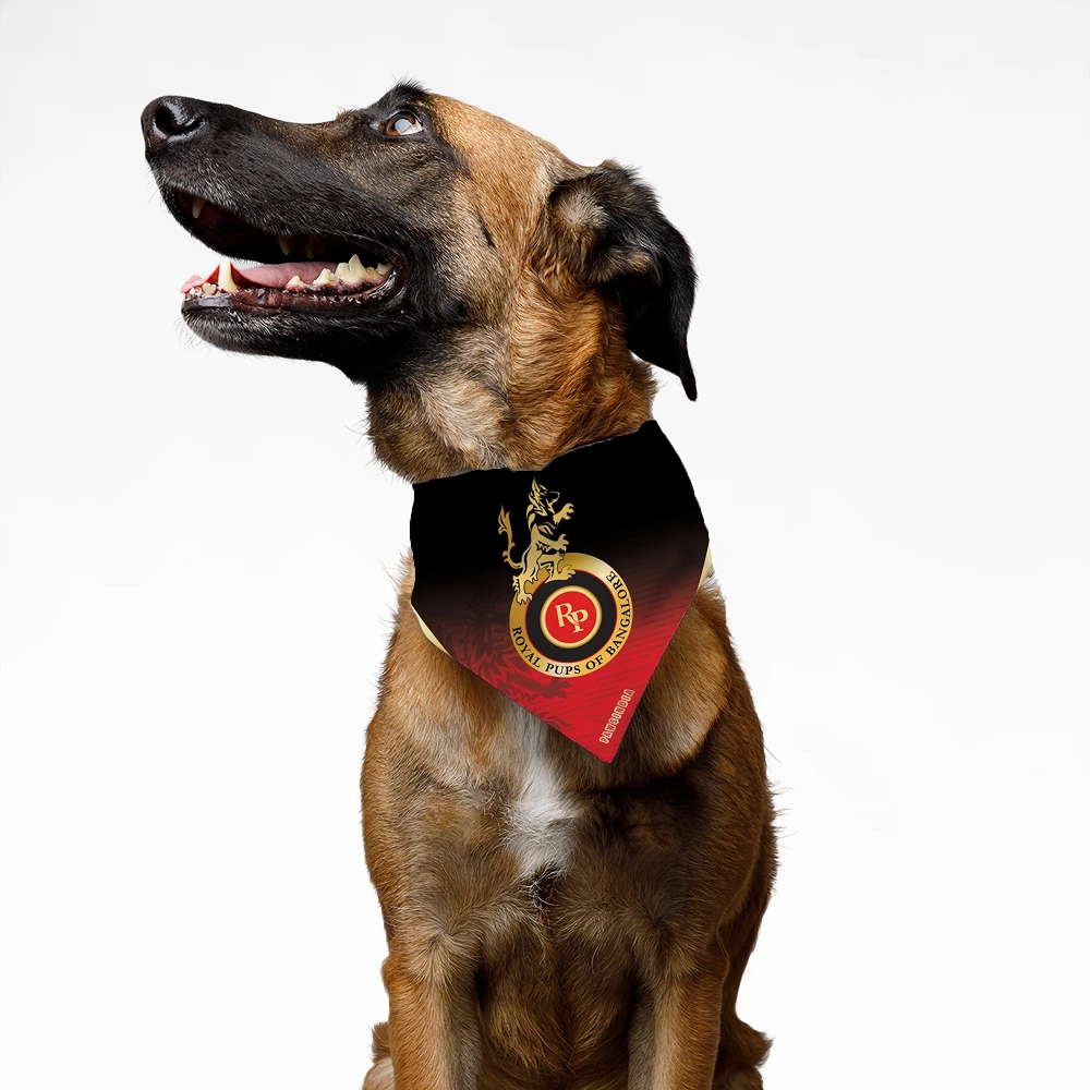 Pawsindia Royal Pup Of Bangalore ipl Bandana for Dogs