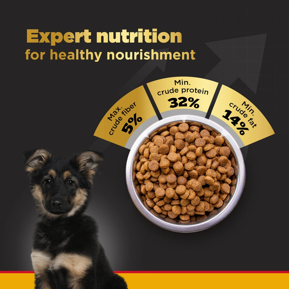 Pedigree PRO Large Breed Puppy Dry Food, Pedigree Chicken Liver Gravy Adult Dog Wet Food Combo