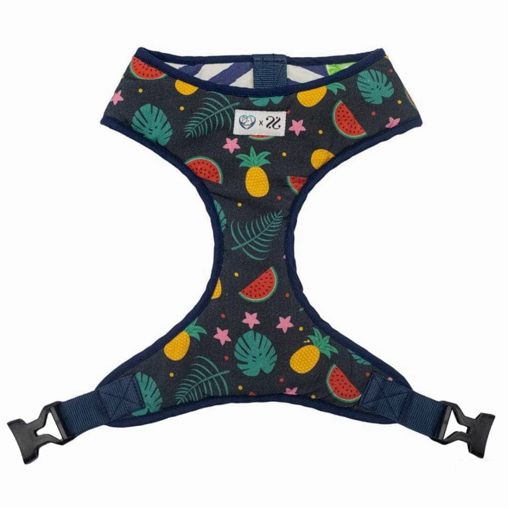 Pet And Parents Fresh Fruit Reversible Harness for Dogs