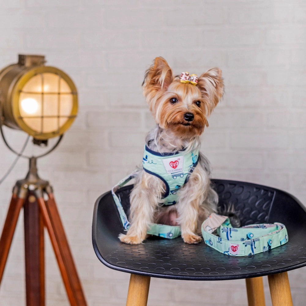 Pet And Parents Rolly Polly Reversible Harness for Dogs