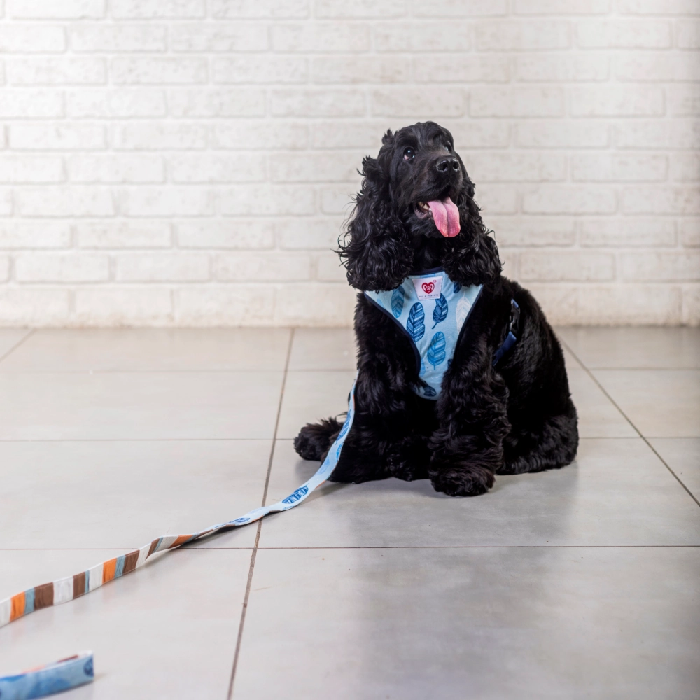 Pet And Parents Stripy Feathers Reversible Harness for Dogs