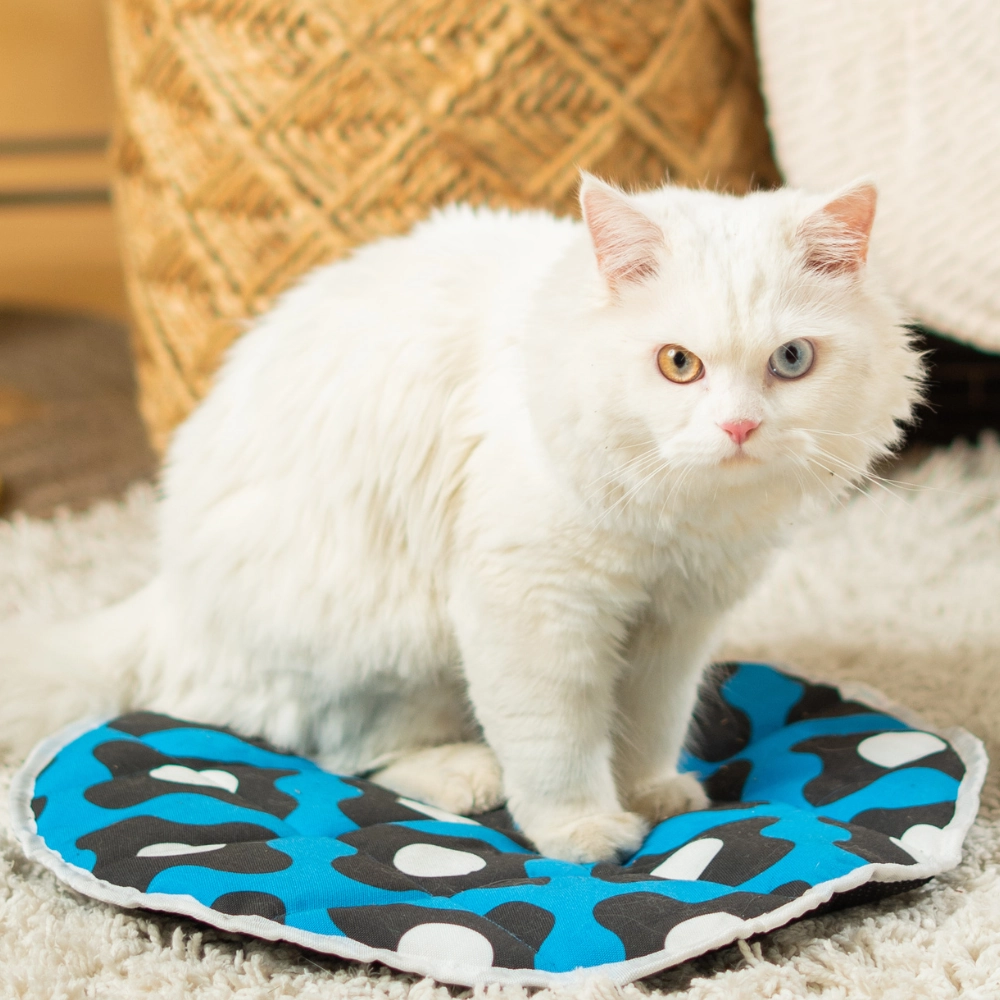 Pet Set Go Blue Bliss Mat for Cats (Navy Blue)