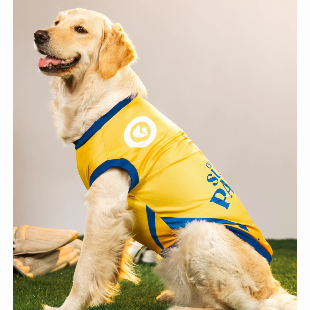 Pet Set Go Chennai Super Paws IPL Jersey for Dogs (Yellow)