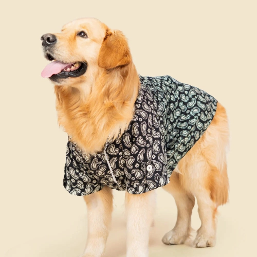 Pet Set Go Heritage Cotton Shirt for Dogs (Black)