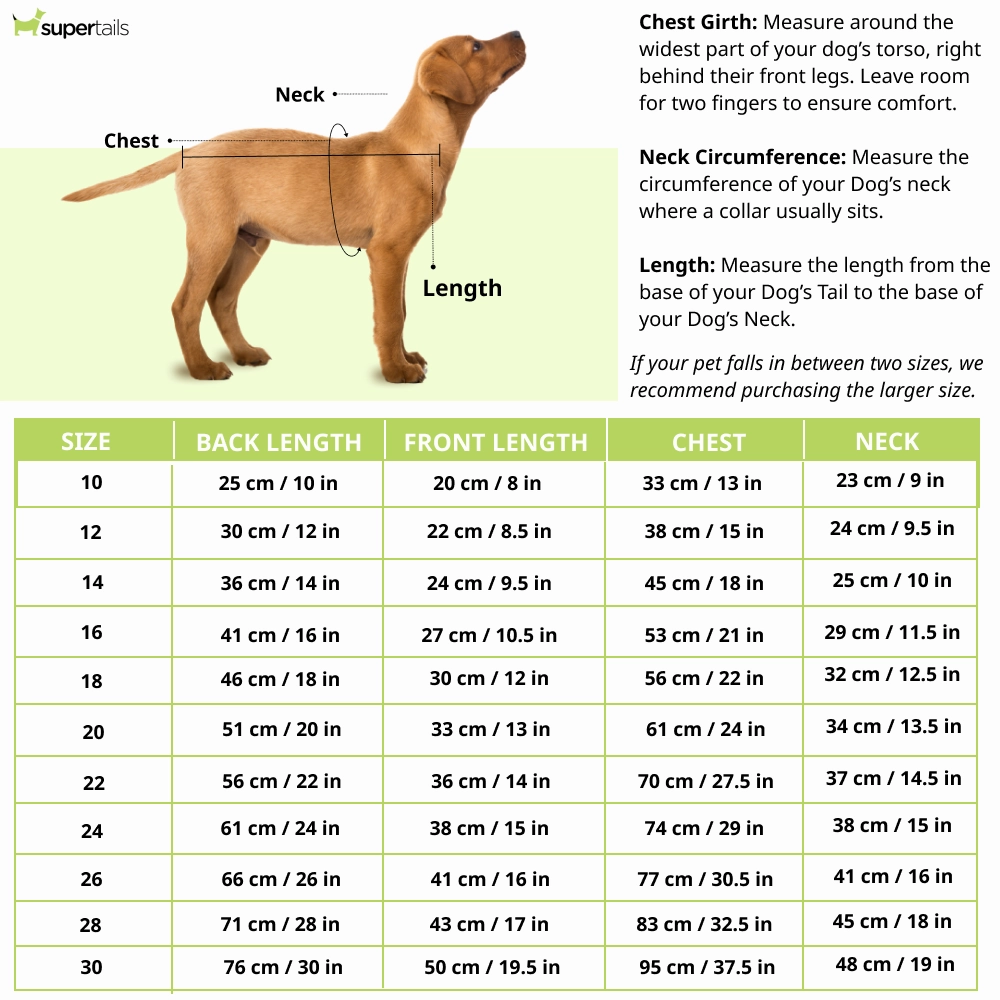 Pet Set Go Hotter Than The Summer Sleeveless T Shirt for Dog (Green)