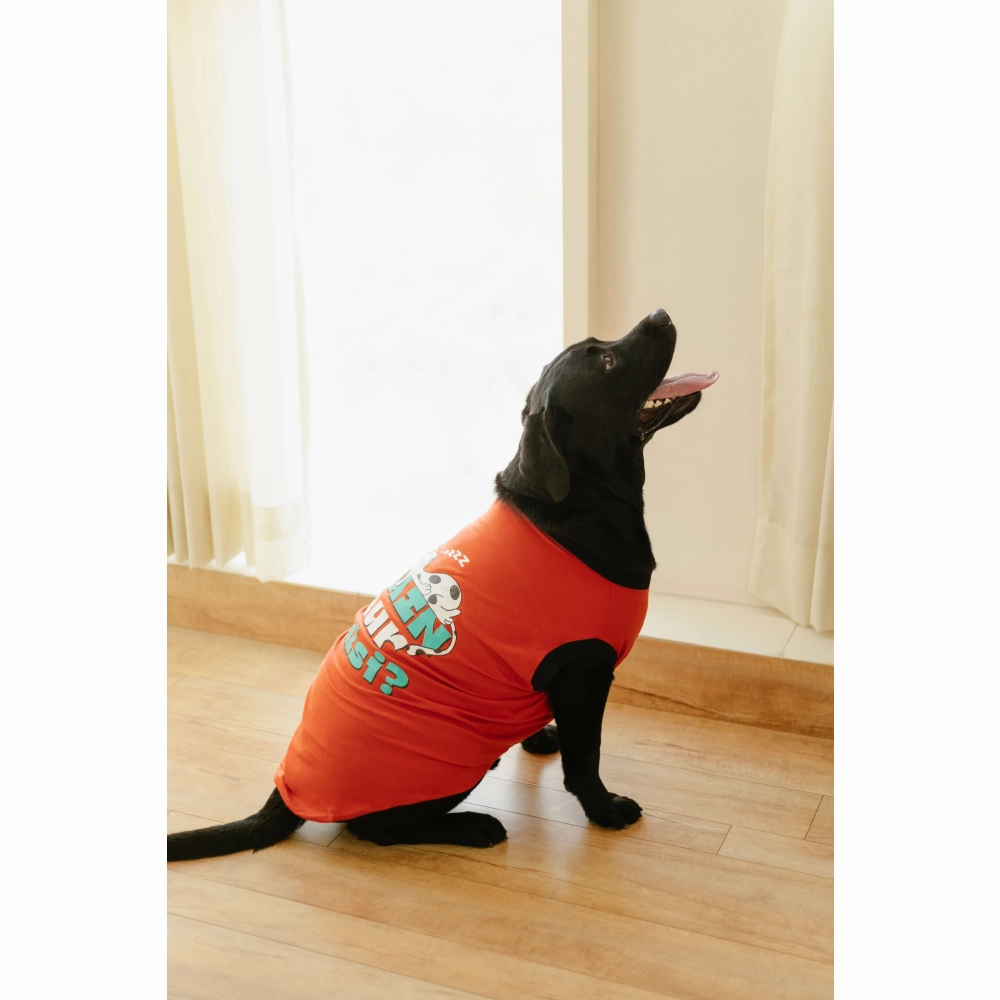 Pet Set Go Main Aur Aalsi T-shirt for Dog (Red)