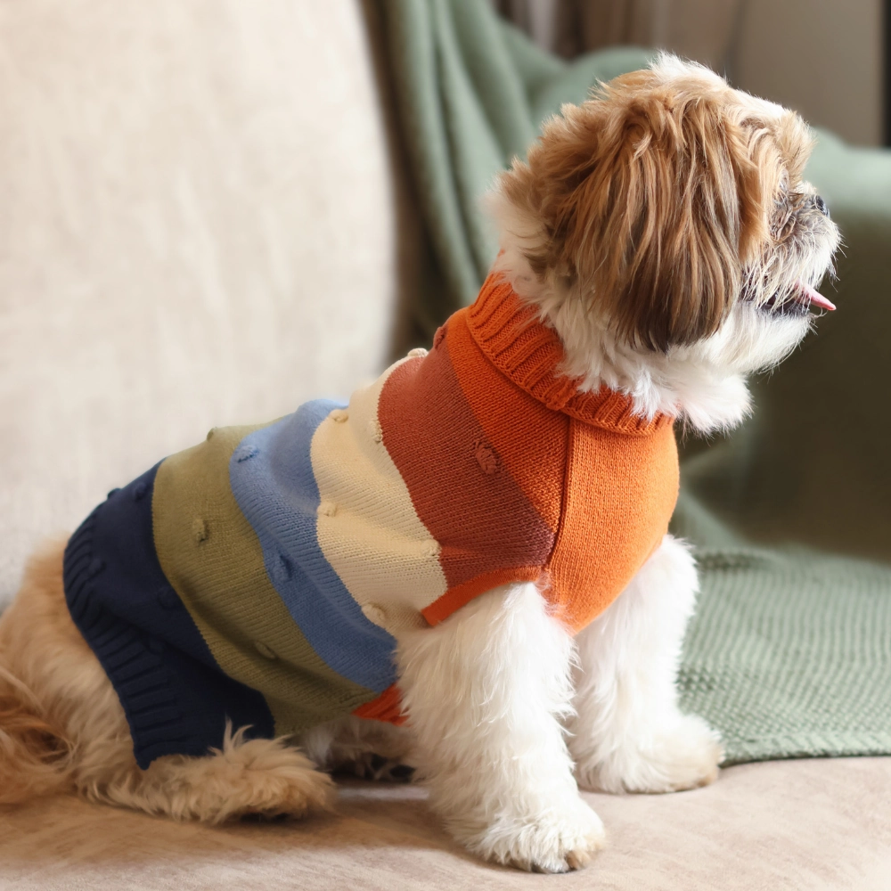 Pet Set Go Multi Coloured Sweater for Dogs