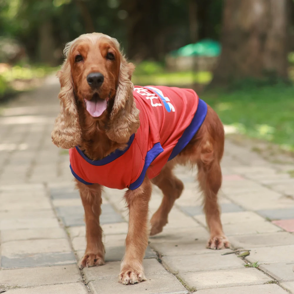 Pet Set Go Naps & Snacks T Shirt for Dogs (Red)