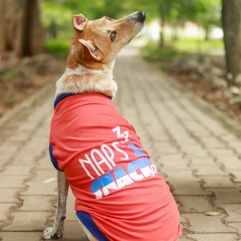 Pet Set Go Naps & Snacks T Shirt for Dogs (Red)