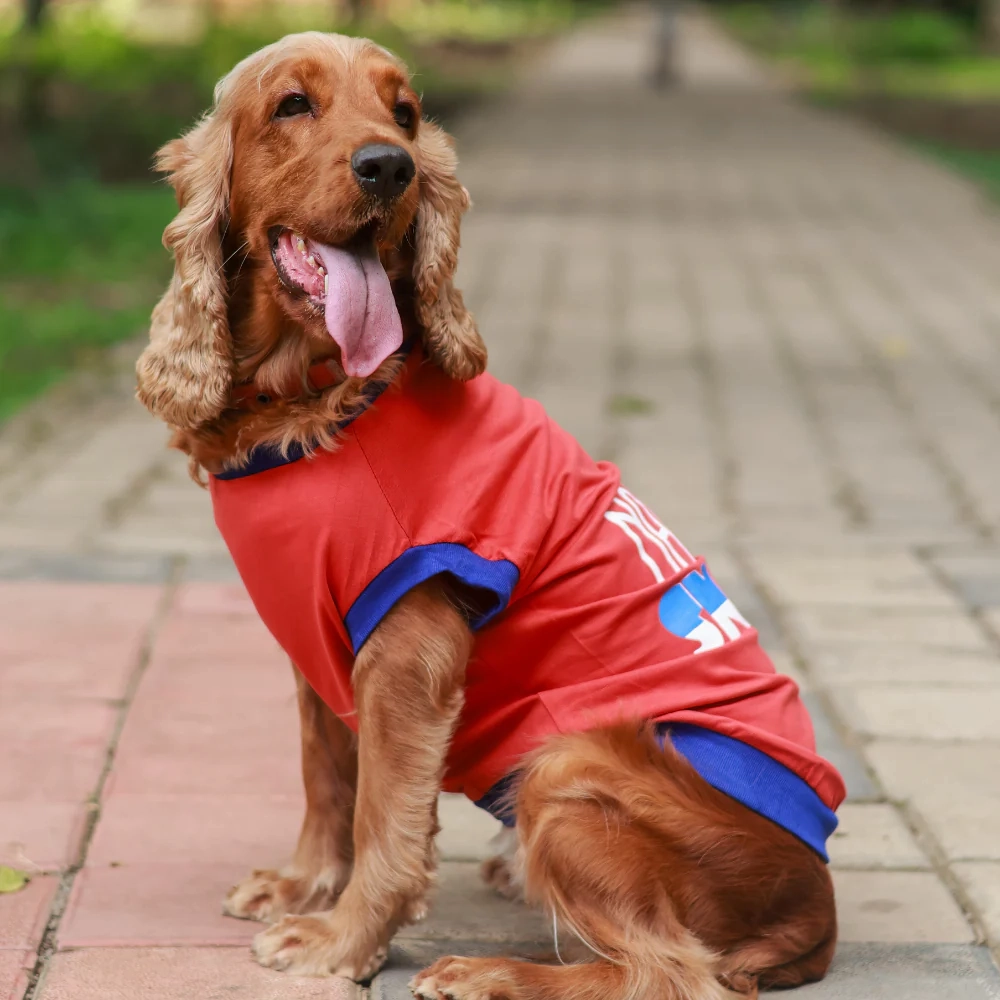 Pet Set Go Naps & Snacks T Shirt for Dogs (Red)
