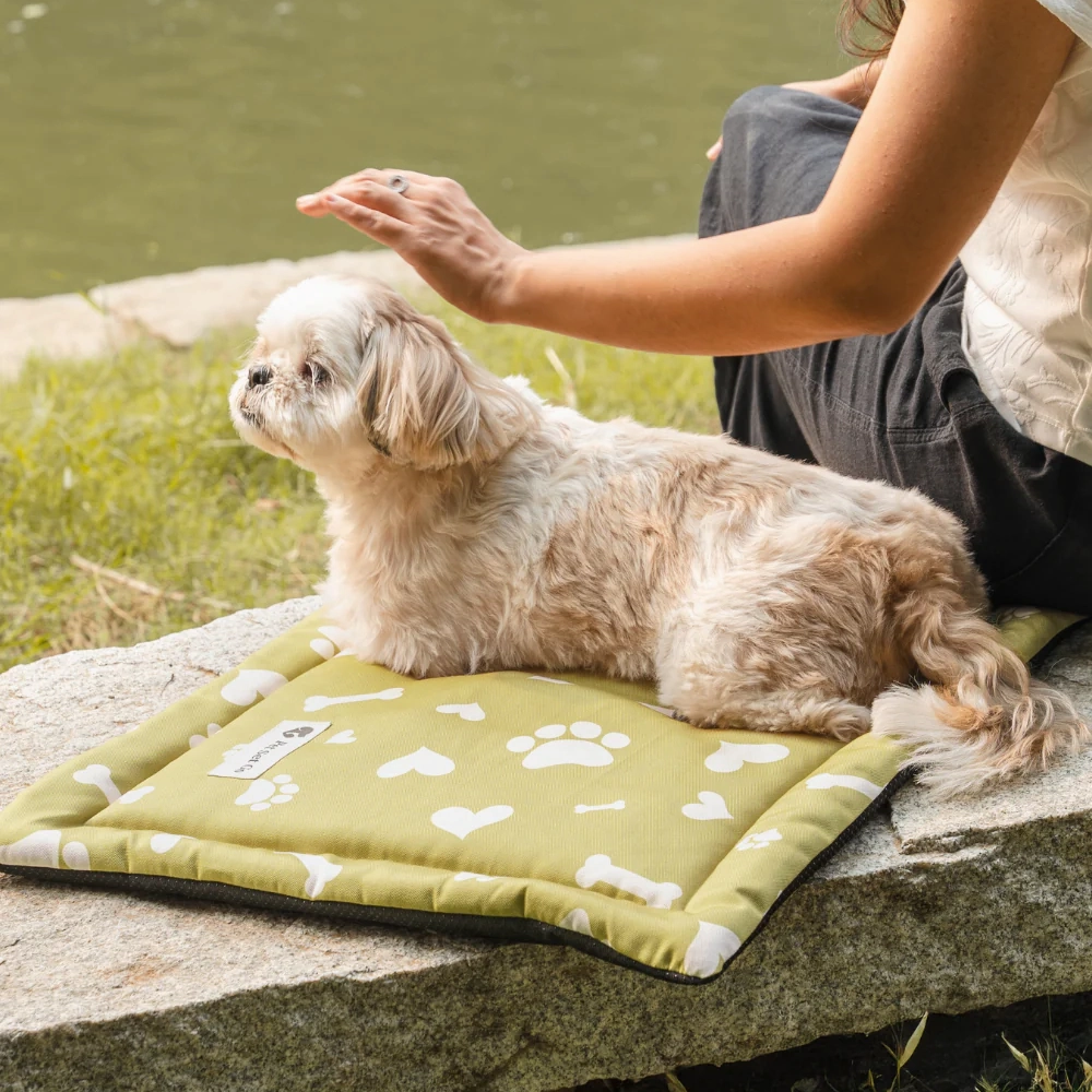 Pet Set Go Paw and Bones Heaven Mat for Dogs and Cats (Green)