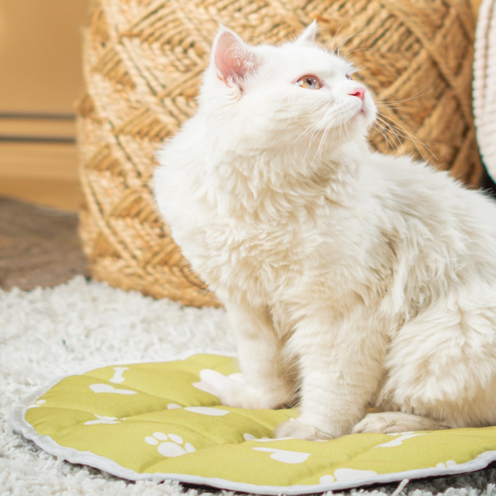 Pet Set Go Paws & Bones Heaven Mat for Cats (Green)