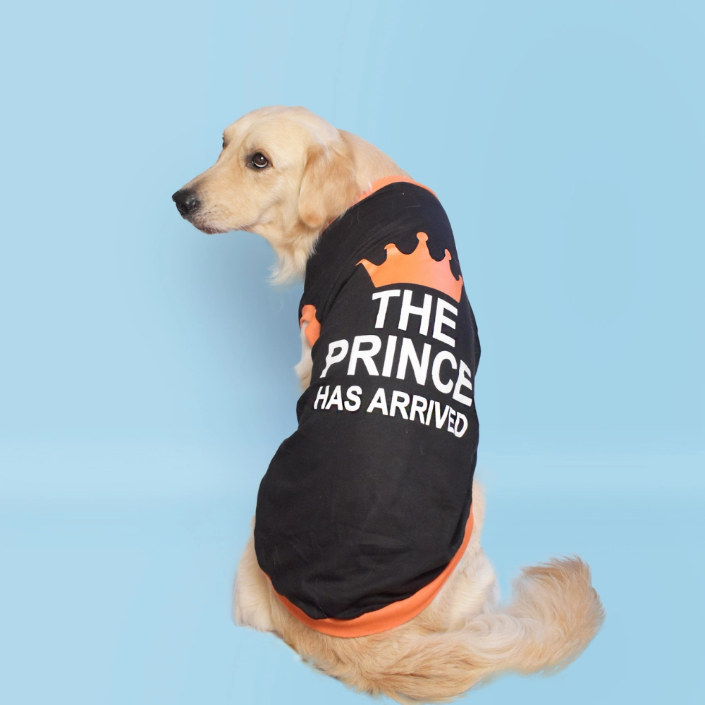 Pet Set Go Prince has Arrived T-shirt for Dogs (Black)