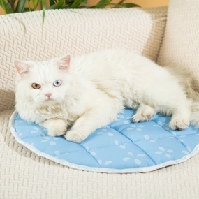 Pet Set Go Sky Bloom Mat for Cats (Blue)