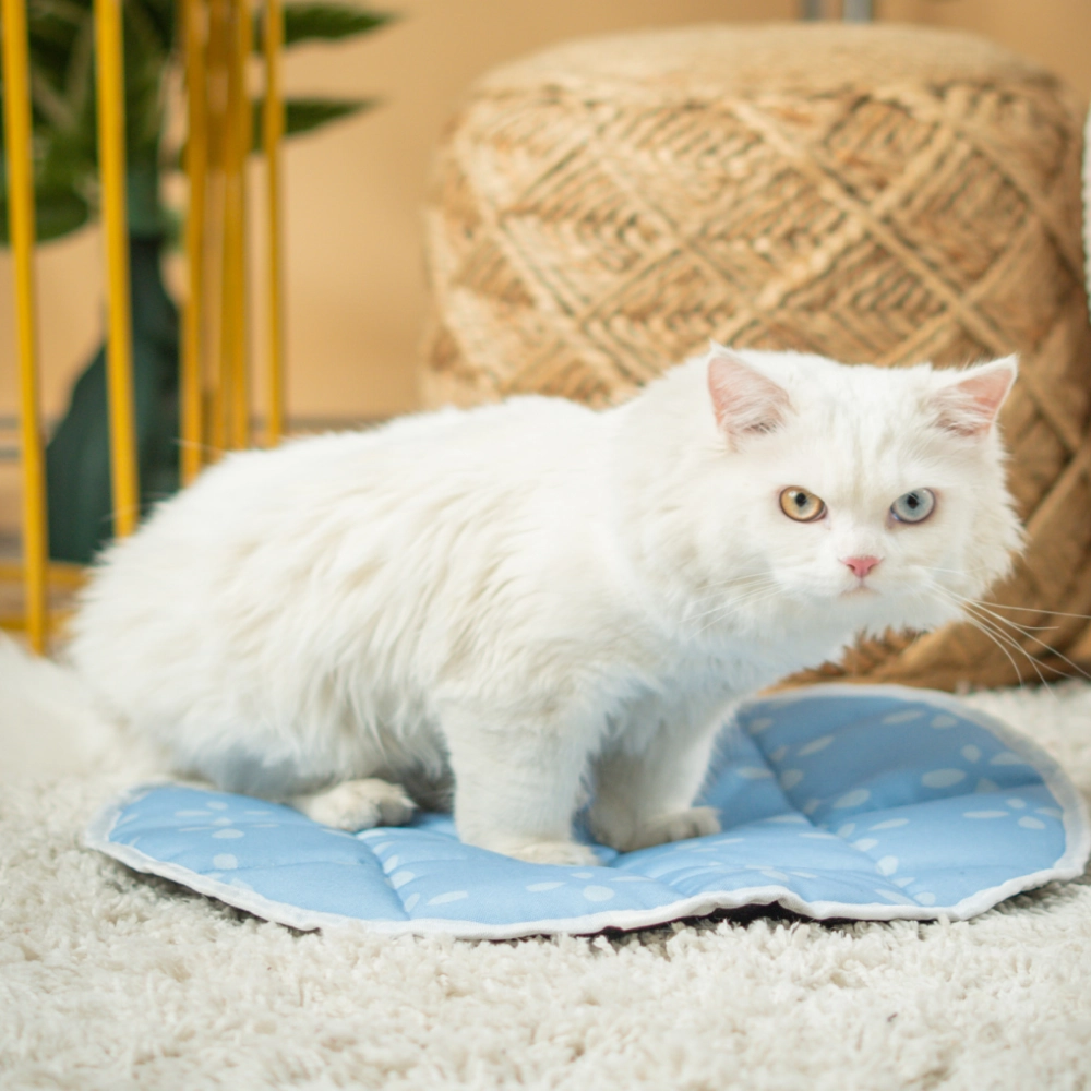 Pet Set Go Sky Bloom Mat for Cats (Blue)