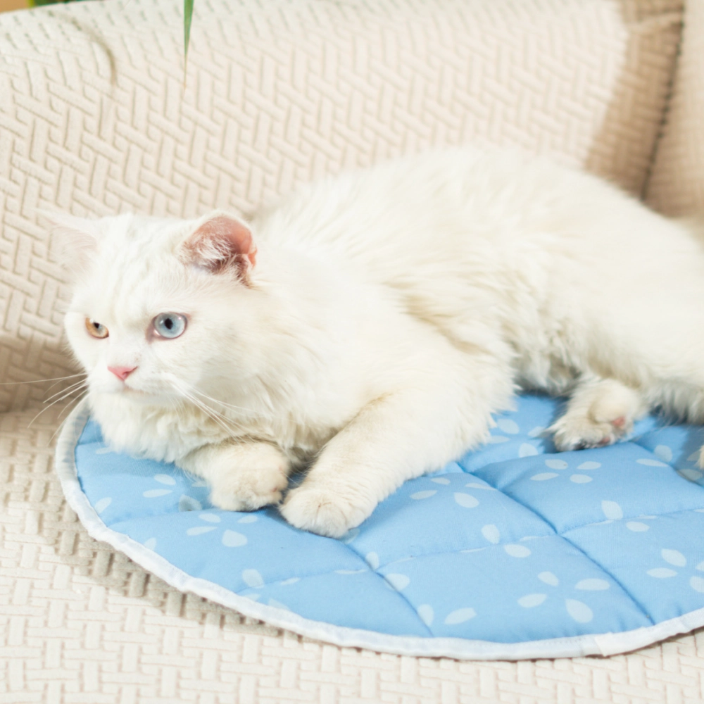 Pet Set Go Sky Bloom Mat for Cats (Blue)