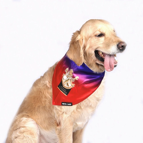 Pets Way Royal Canines Bangalore IPL Bandana for Dogs and Cats (Red)