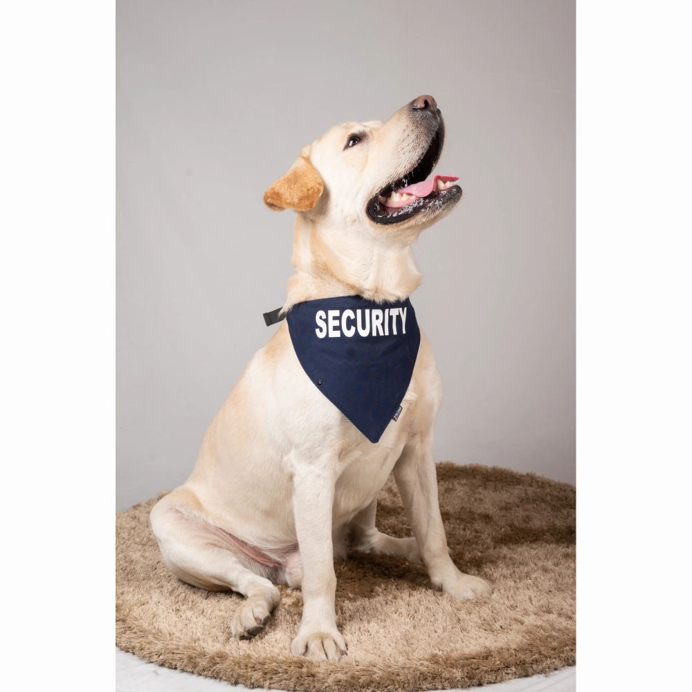 Petsnugs Security Bandana for Dogs and Cats (Navy Blue)