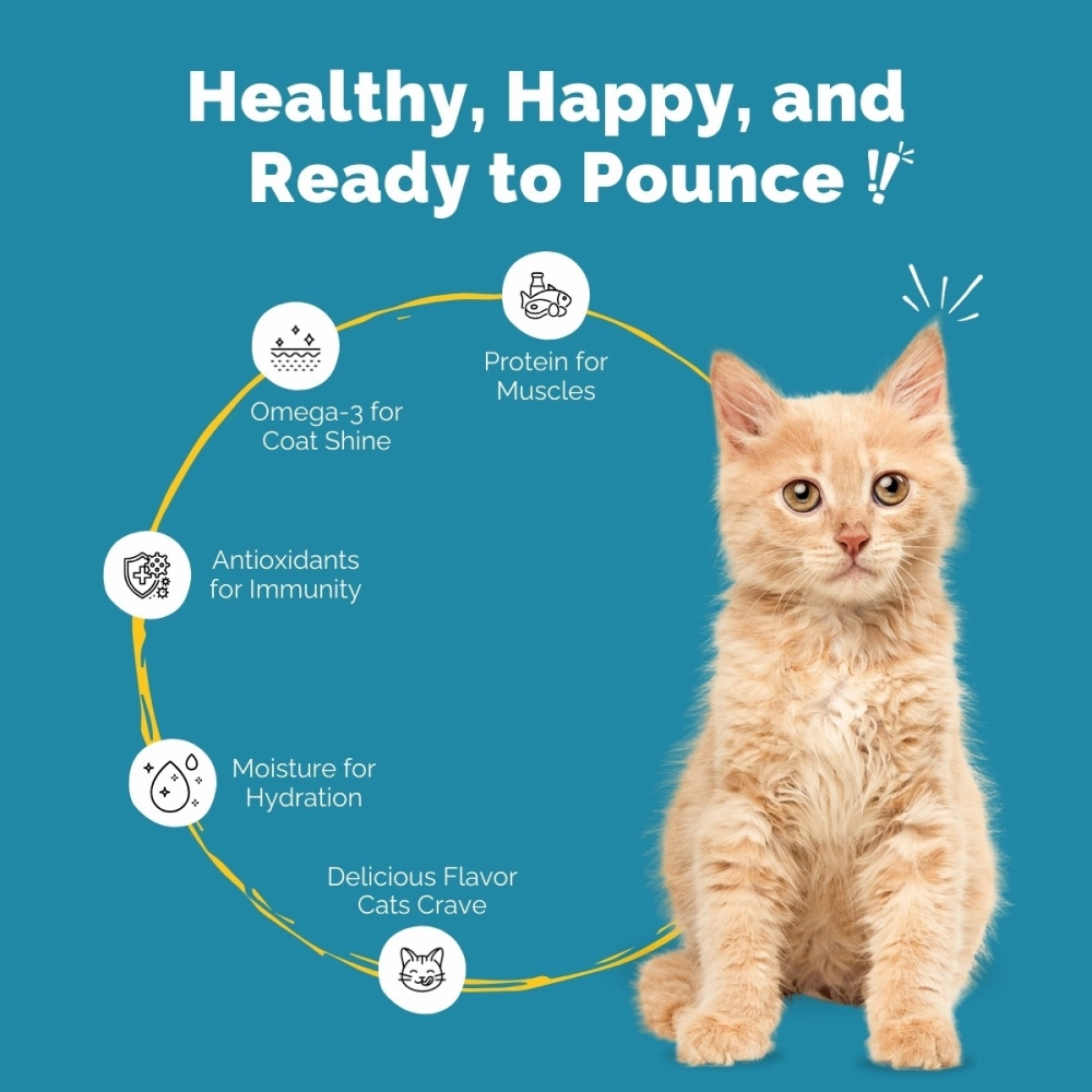 PetStrong Sardine & Tuna and White Fish in Gravy Cat Wet Food Combo