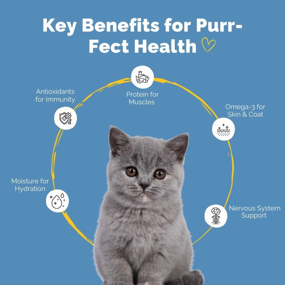 PetStrong Sardine in Gravy Cat Wet Food