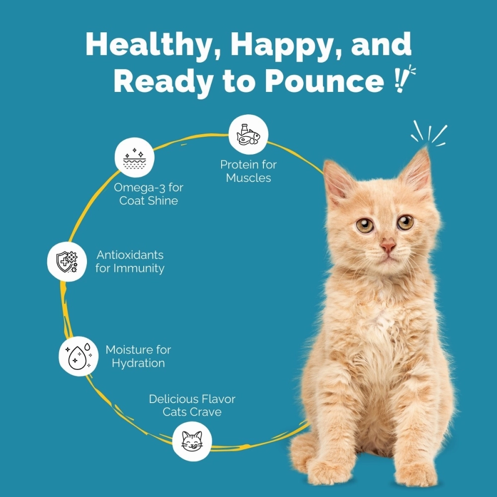 PetStrong Tuna and White Fish & Mackerel and Seaweed in Gravy Cat Wet Food Combo