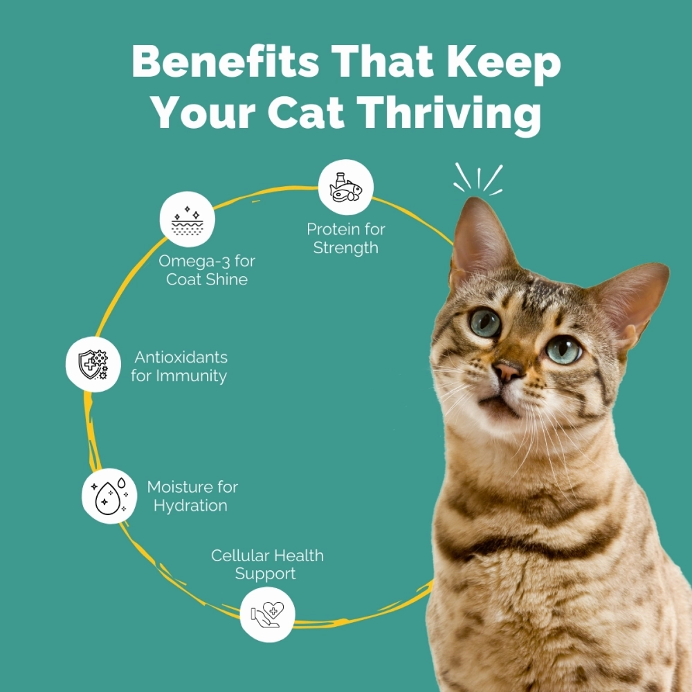 PetStrong Tuna and White Fish & Mackerel and Seaweed in Gravy Cat Wet Food Combo