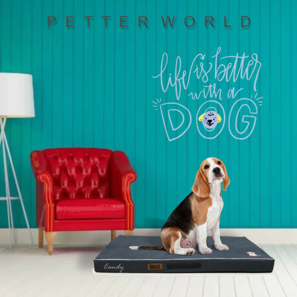 Petter World Comfort Flat Foam Bed for Dogs (Autumn Grey)