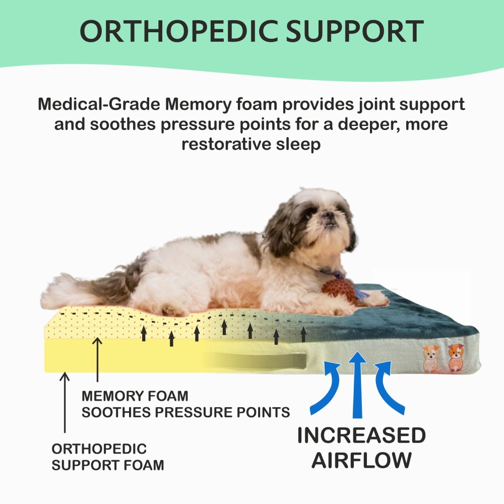 Petter World Orthopedic Memory Foam Bed With Large Sleep Surface for Dogs (Bottle Green)