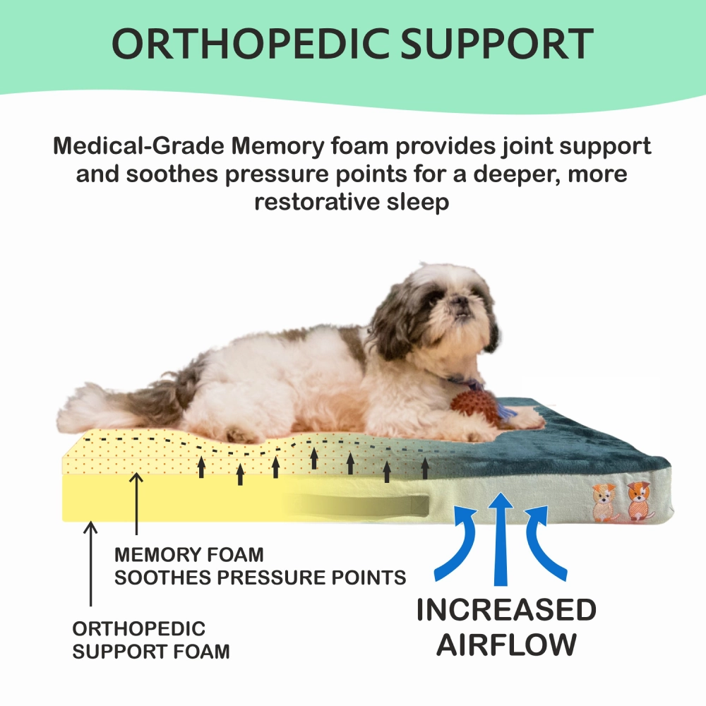 Petter World Orthopedic Memory Foam Bed With Large Sleep Surface for Dogs (Bottle Green)