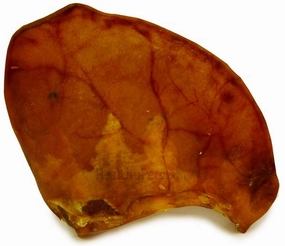 Pig Ears Made in USA
