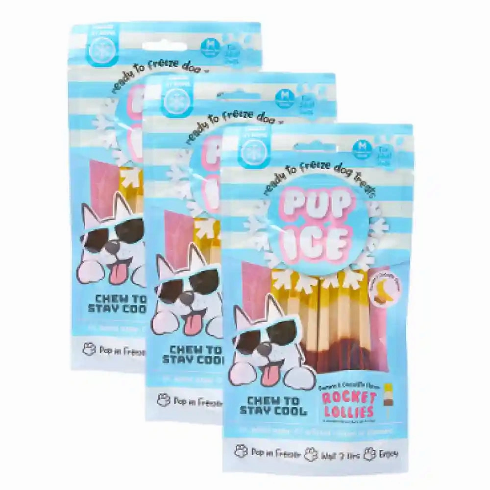 Pup Ice Chocolate and Banana Flavoured Rocket Lollies Dog Treat