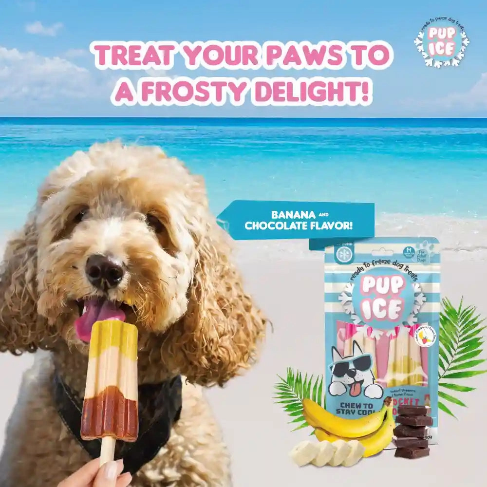 Pup Ice Chocolate and Banana Flavoured Rocket Lollies Dog Treat