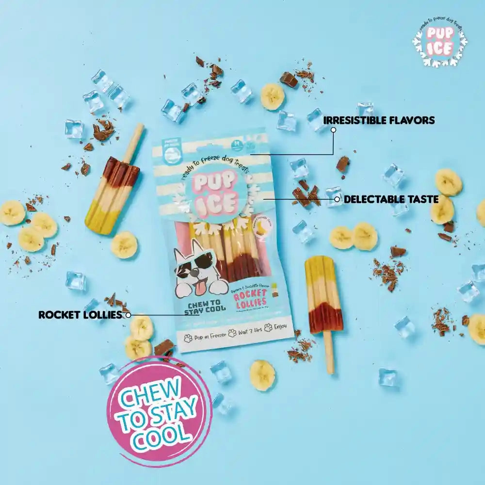 Pup Ice Chocolate and Banana Flavoured Rocket Lollies Dog Treat