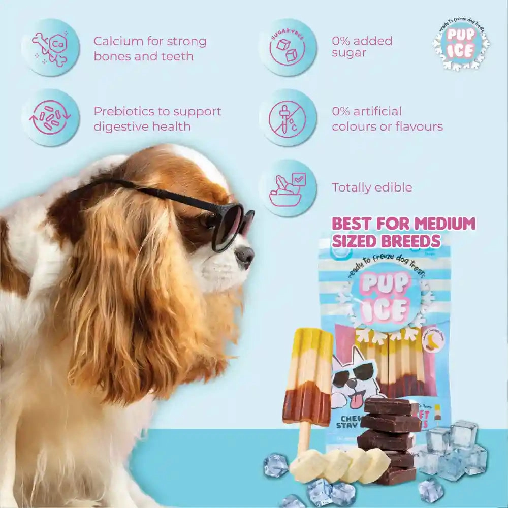 Pup Ice Chocolate and Banana Flavoured Rocket Lollies Dog Treat