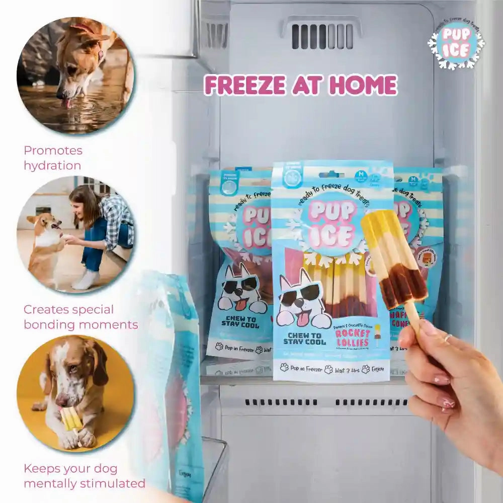 Pup Ice Chocolate and Banana Flavoured Rocket Lollies Dog Treat