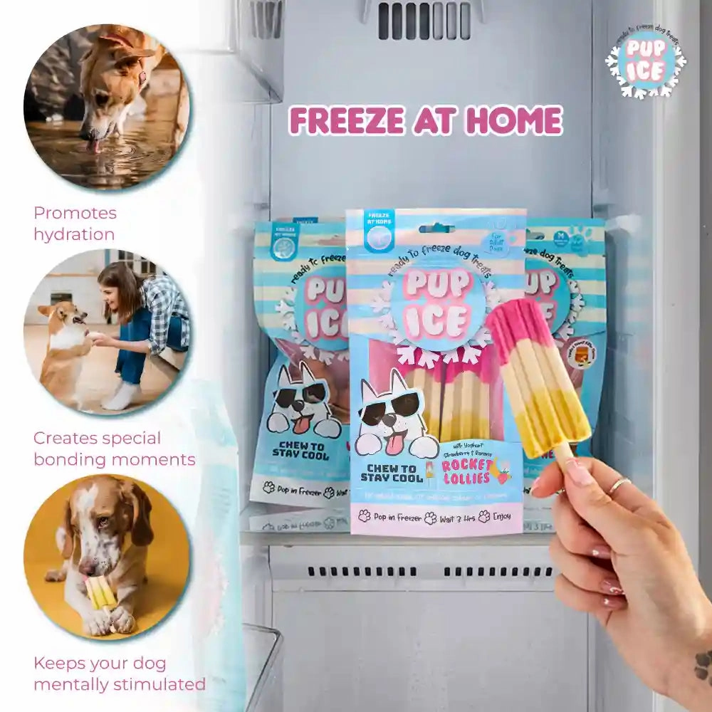 Pup Ice Strawberry and Banana Flavoured Rocket Lollies Dog Treat