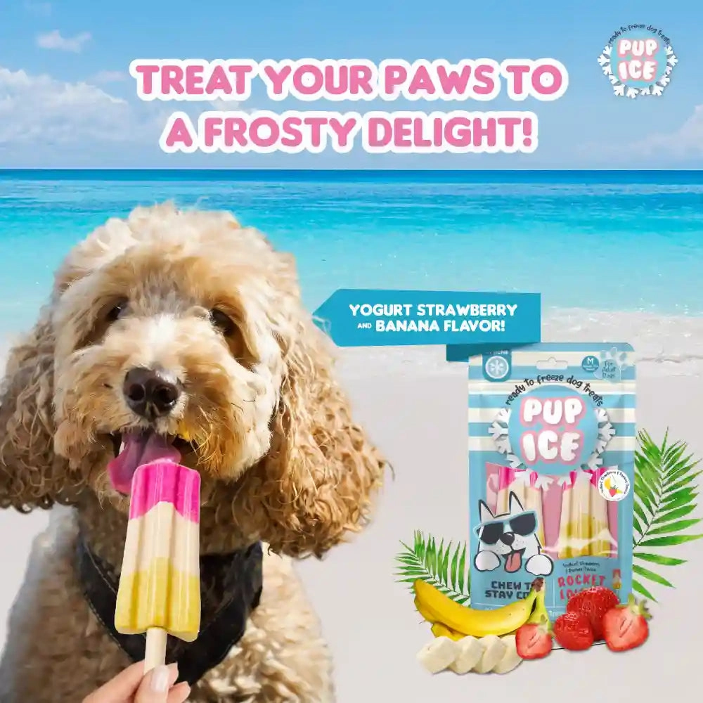 Pup Ice Strawberry and Banana Flavoured Rocket Lollies Dog Treat