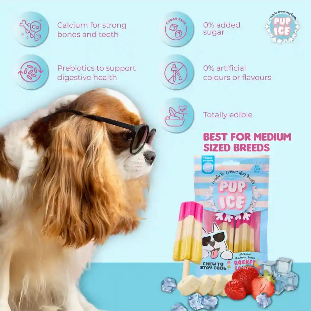 Pup Ice Strawberry and Banana Flavoured Rocket Lollies Dog Treat