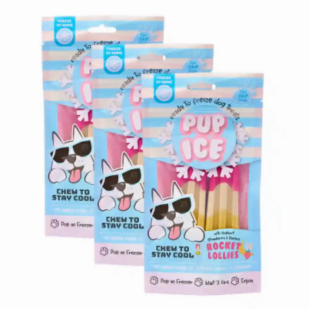 Pup Ice Strawberry and Banana Flavoured Rocket Lollies Dog Treat