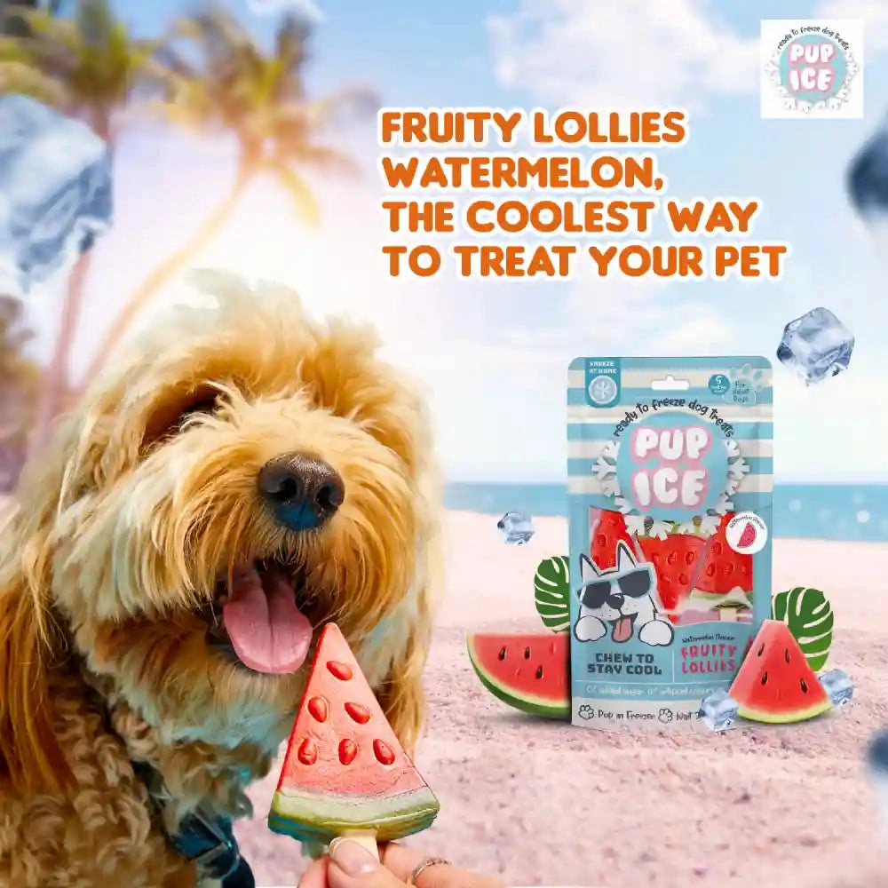 Pup Ice Watermelon Flavoured Fruity Lollies Dog Treat