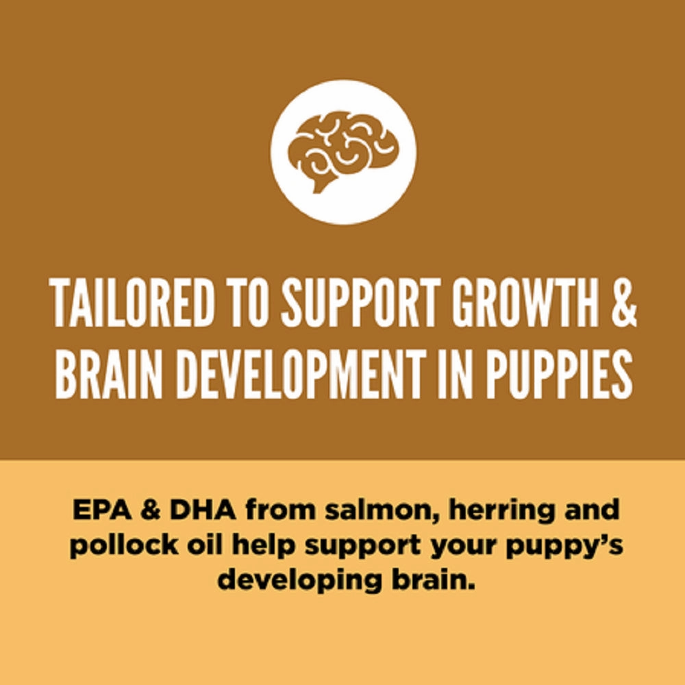 Puppy Formula Chicken & Turkey Dog Dry Food (USA)