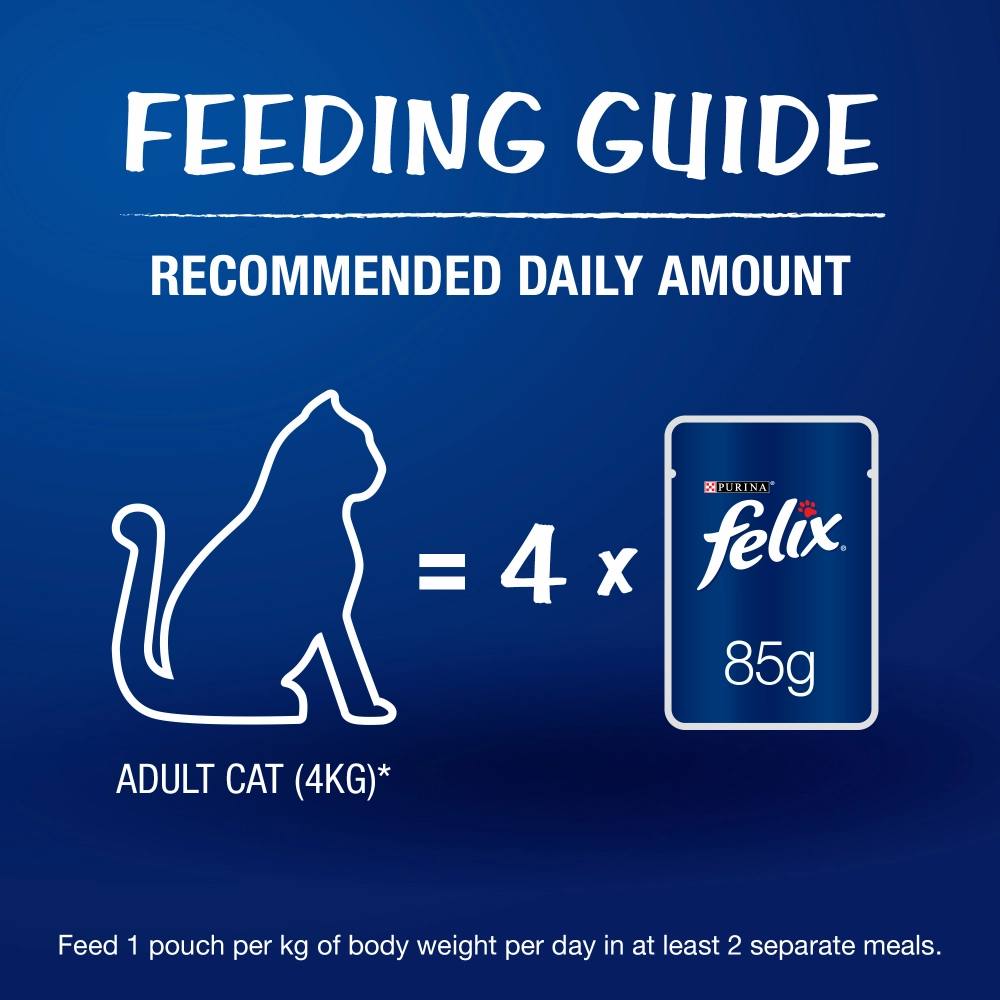 Purina Felix Sardine with Jelly and Salmon with Jelly Adult Cat Wet Food Combo