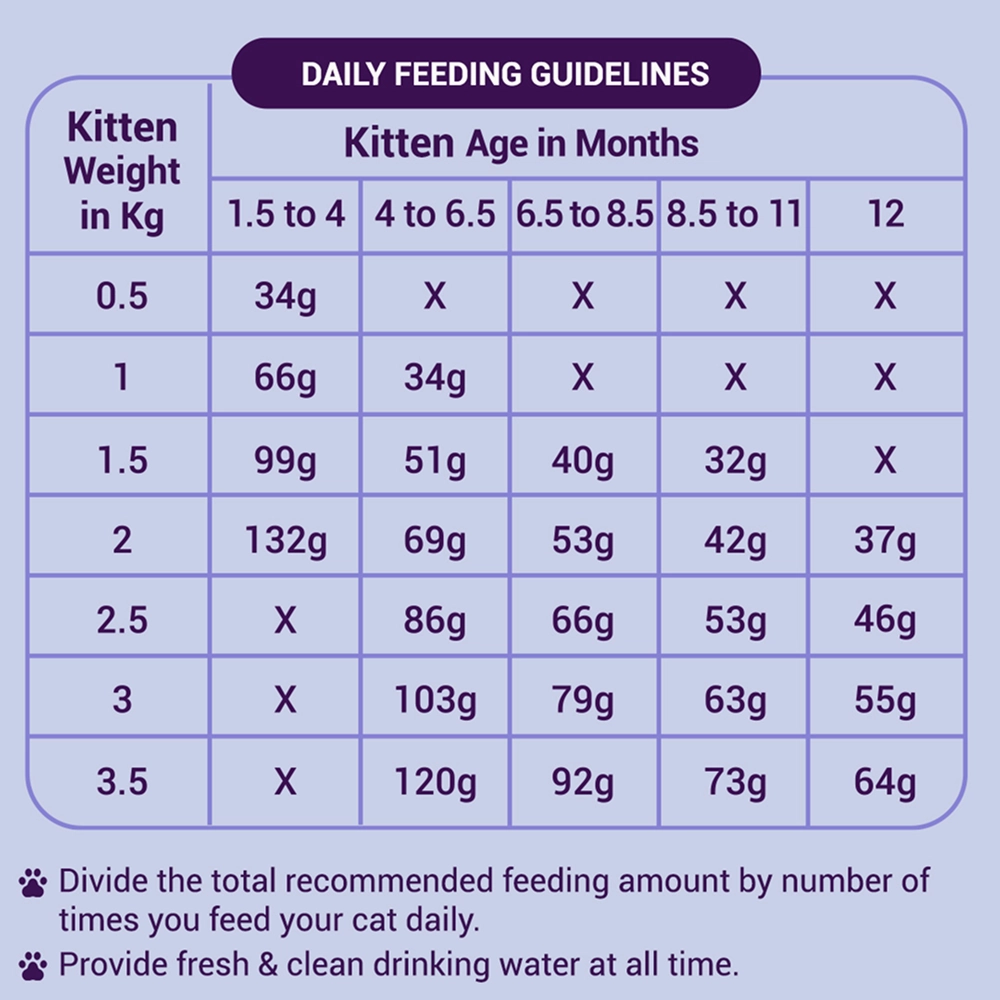 Purrfeto Chicken and Rice Kitten Cat Dry Food