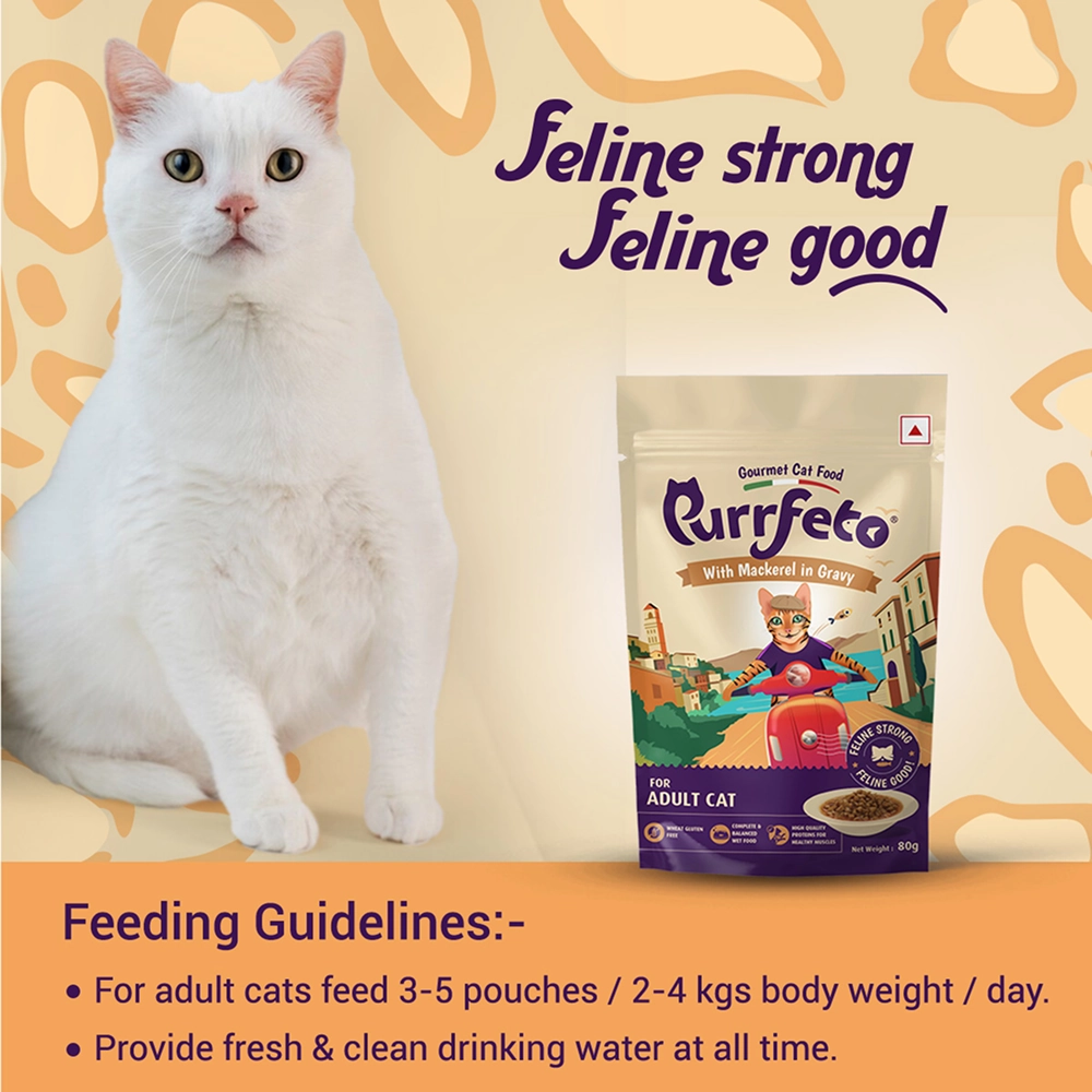 Purrfeto Mackerel in Gravy Adult Cat Wet Food