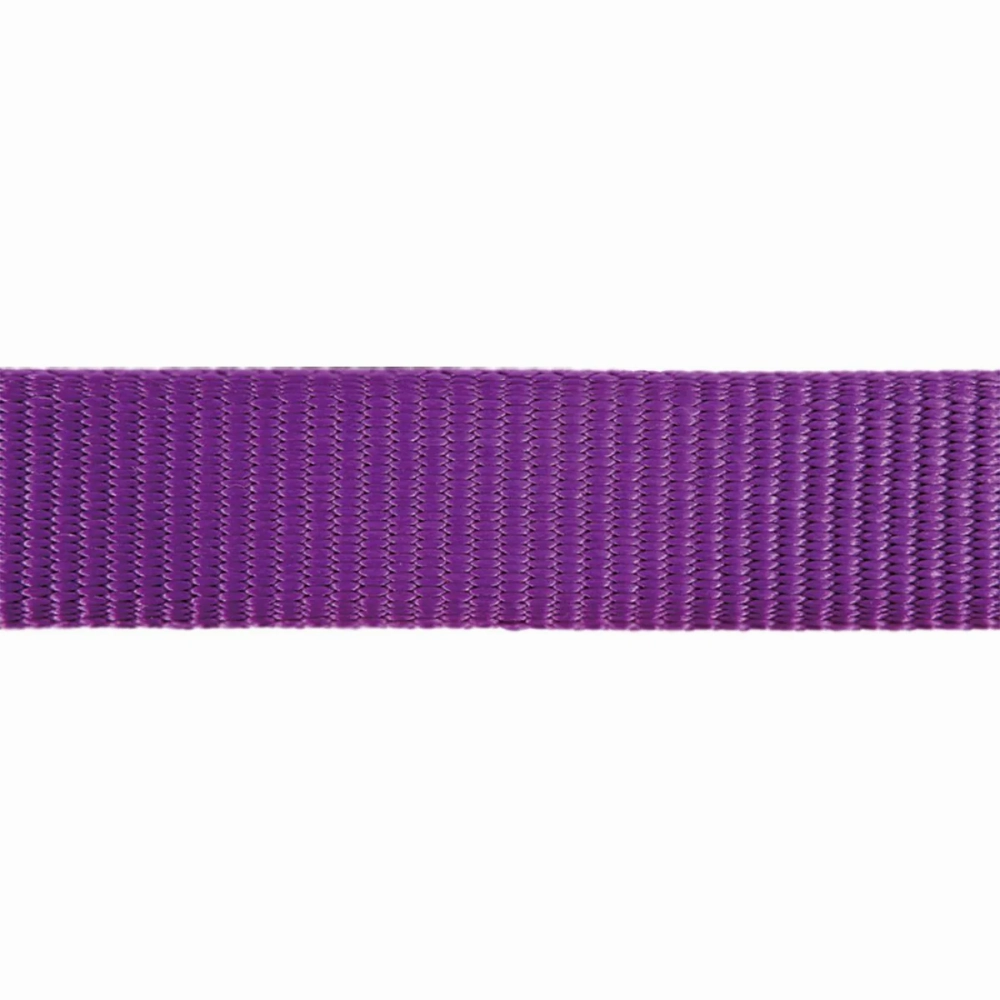 Red Dingo Classic Collar for Dogs (Purple)
