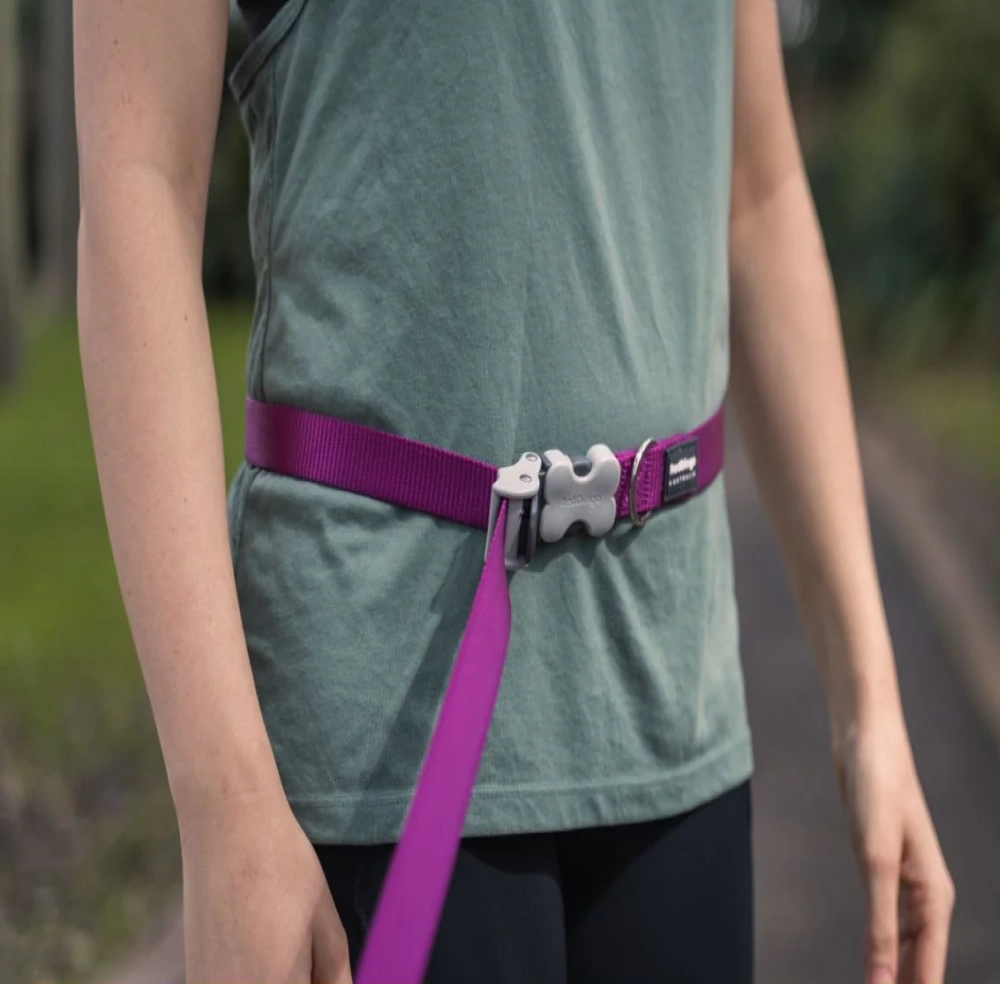 Red Dingo Classic SuperLead Leash For Dogs (Purple)