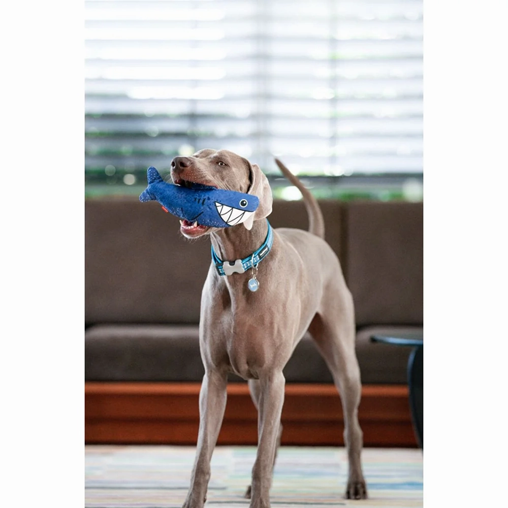 Red Dingo Durables Shark Fetch Toy For Dogs (Dark Blue)
