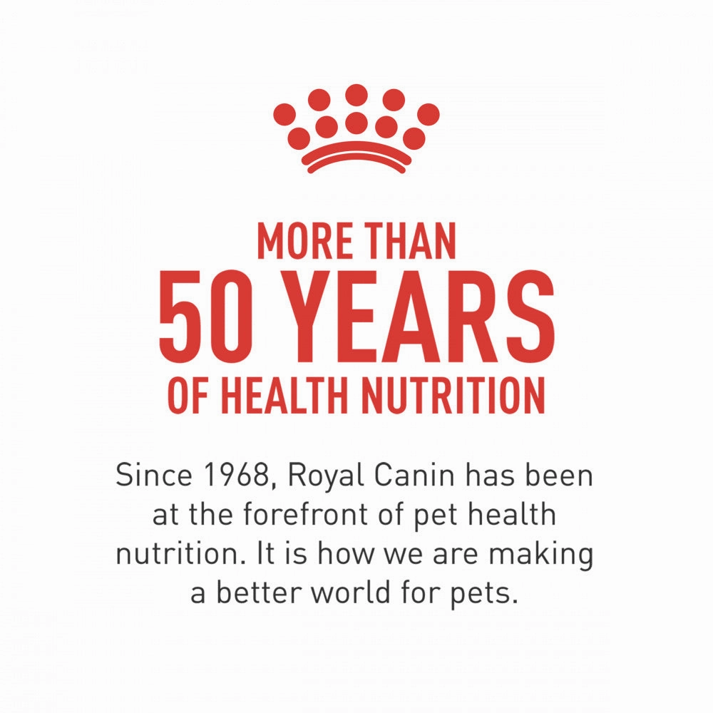 Royal Canin Feline Breed Nutrition Persian Dry Cat Food